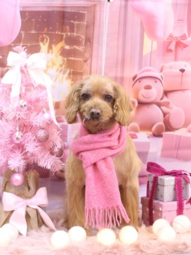 20241219紋之助くん